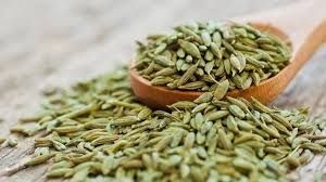 Fennel Seeds, Color : Greenish-brown for Cooking, Baking