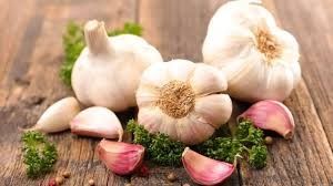 Fresh Garlic, Color : White, Packaging Type : Loose