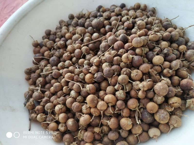 Henna Flower Seeds