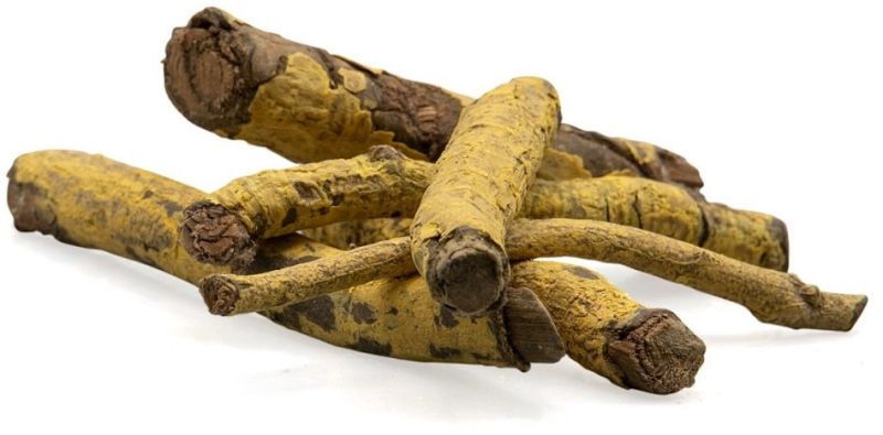 Saptarangi Root Casearia Esculenta