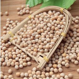 White Peas, Packaging Type : Bag Or Can for Cooking, Salads, Soups