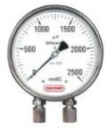 Below Differential Pressure Gauge Model DPG202, Color : Silver