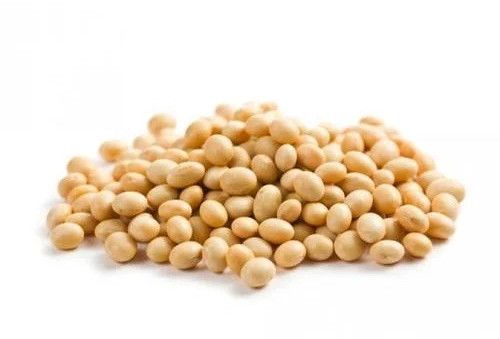 Organic Non Gmo Soybean