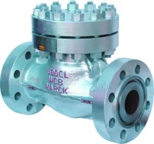 Check Valve