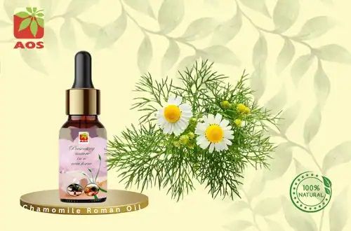 Chamomile Roman Oil