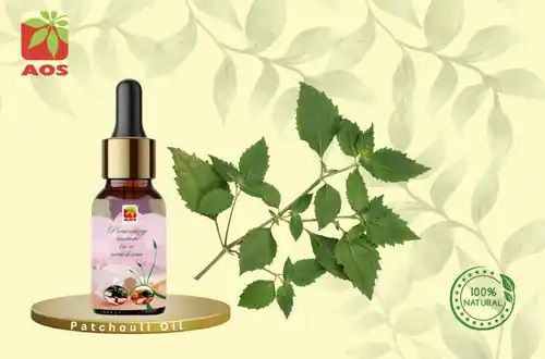 Patchouli Oil, Packaging Type : Glass Bottels