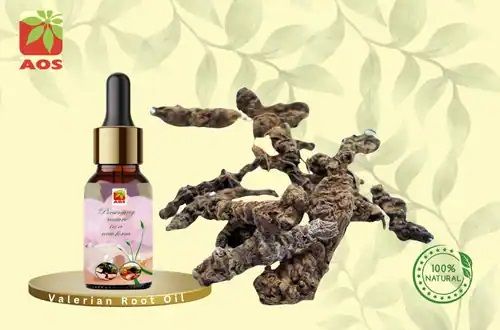 Valerian Root Oil, Color : Pale Yellow