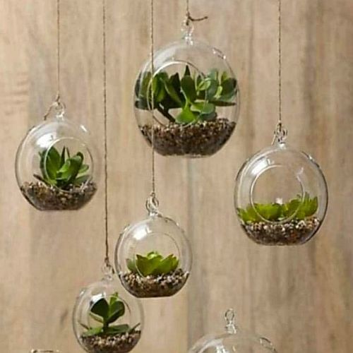 Polished Glass Hanging Plant Holder, Color : Transparent