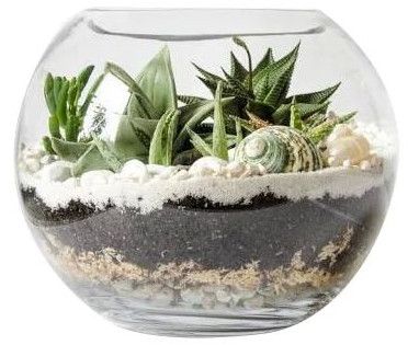 Polished Glass Round Decorative Planter, Color : Transparent