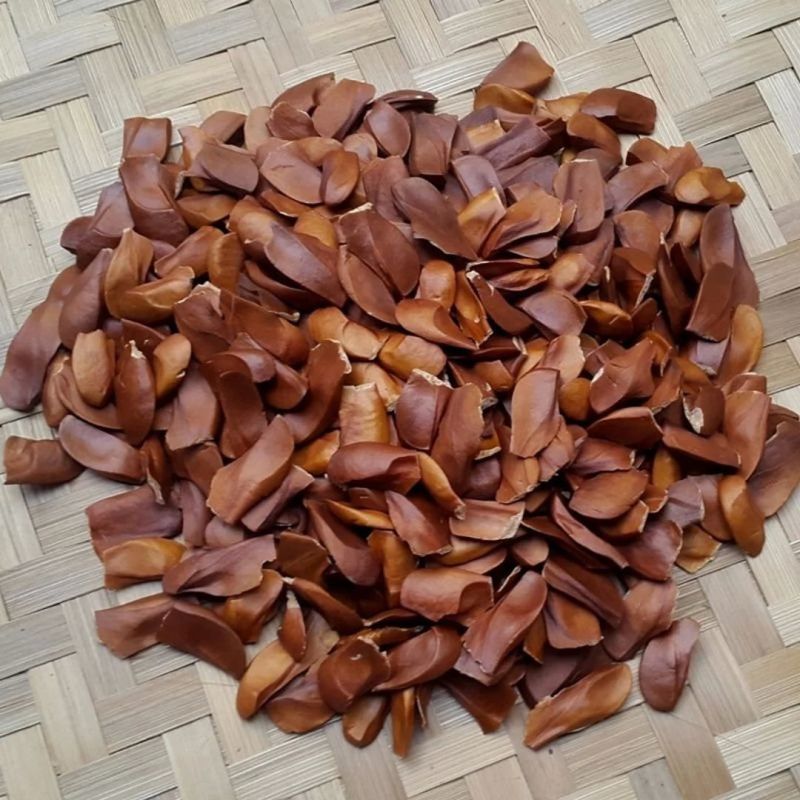 mahogany seeds
