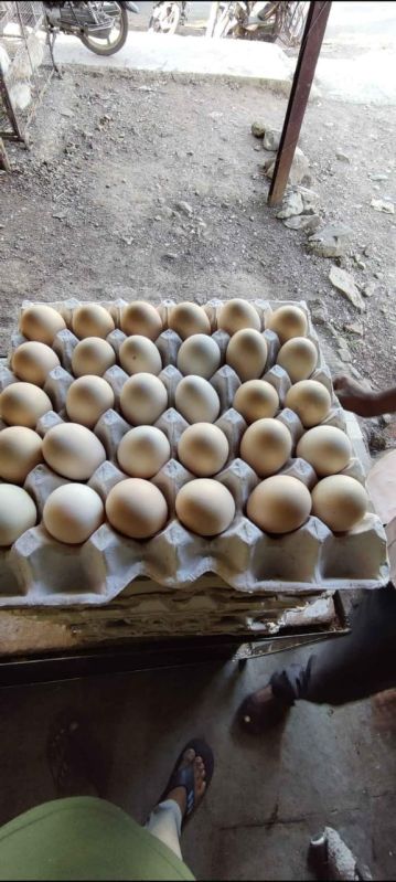 Desi Eggs