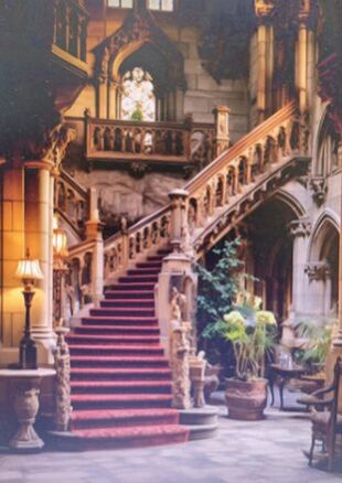 Back Drop Print Fabric