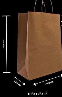 Paper Carry Bag 12 X 16 X 5 Inch
