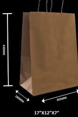 Paper Carry Bag 12 X 18 X 7 Inch