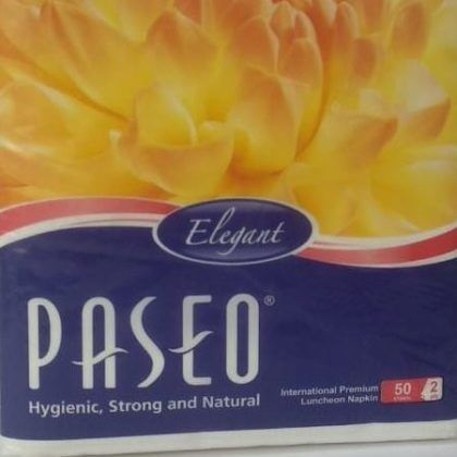 Paseo 9X9 Elegant 2 Ply Tissue Paper Napkins