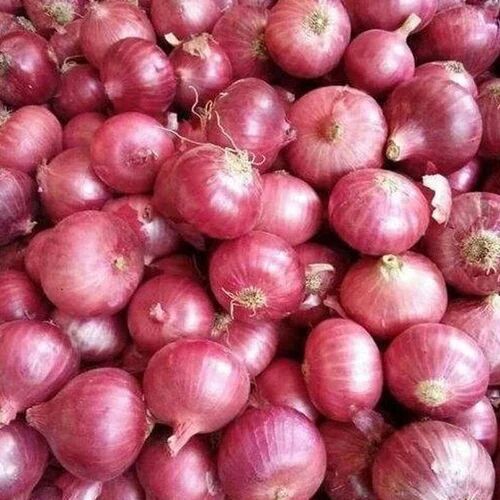 A Grade Fresh Pink Onion