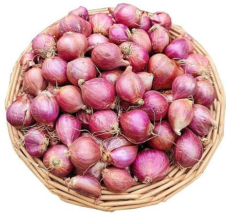 A Grade Sambar Onion