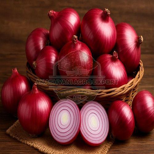 Natural Fresh Nashik Red Onion, State OF Origin : Maharashtra