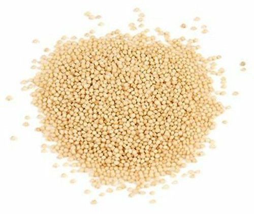 Amaranth Grain, Color : Cream, Packaging Type : PP Bag