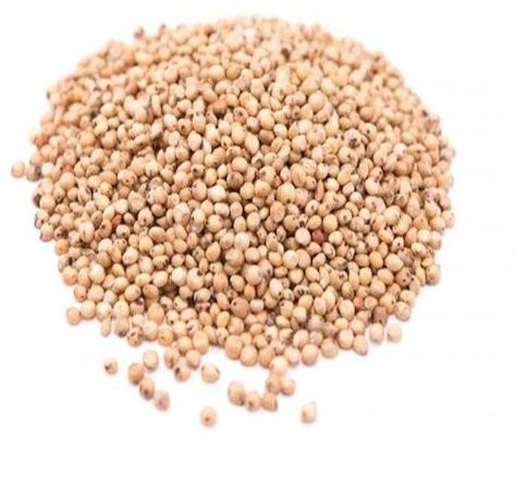 Sorghum, Color : Brown, Packaging Size : 50Kg, Grade : Human Grade