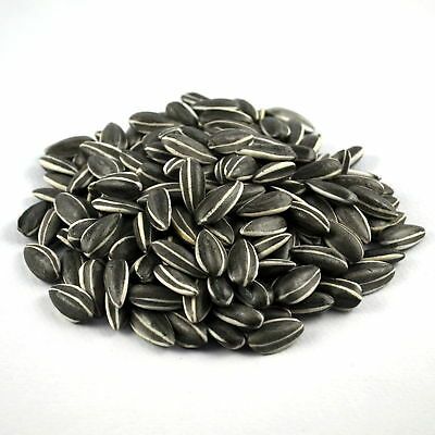 Sunflower Seed, Color : Black, Packaging Size : 50g