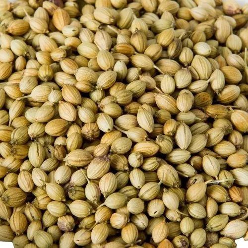coriander seeds
