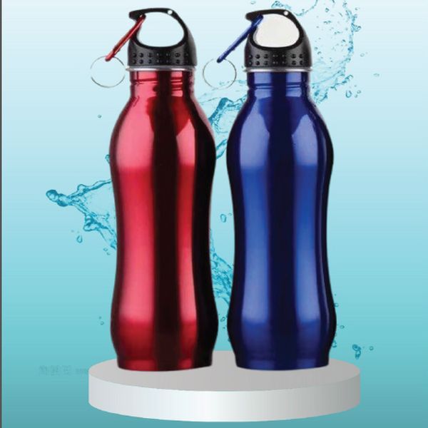 750ml Stainless Steel Water Bottle