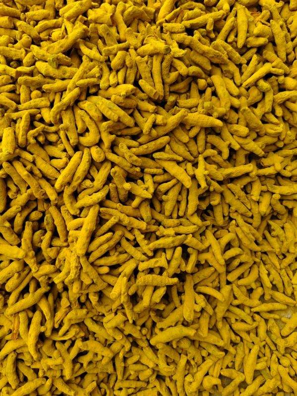 Double Polished Selam Turmeric Finger