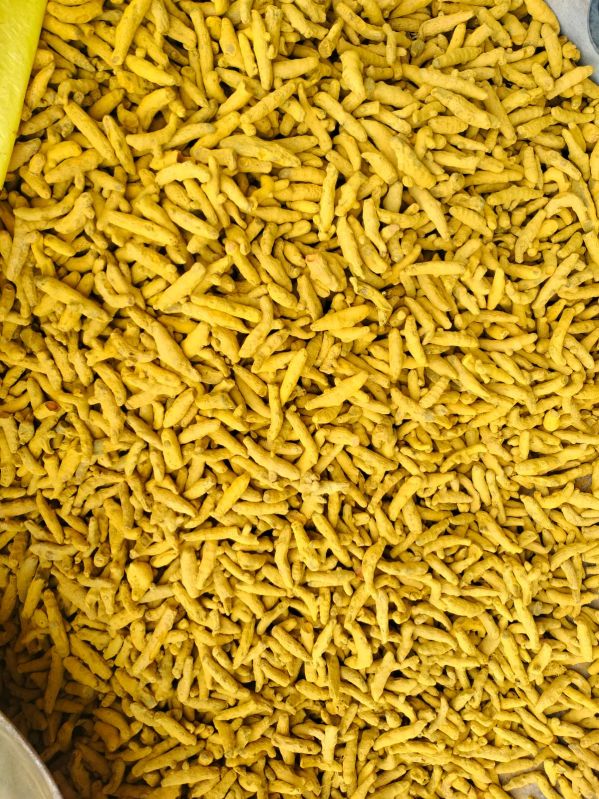 Double Polished Turmeric