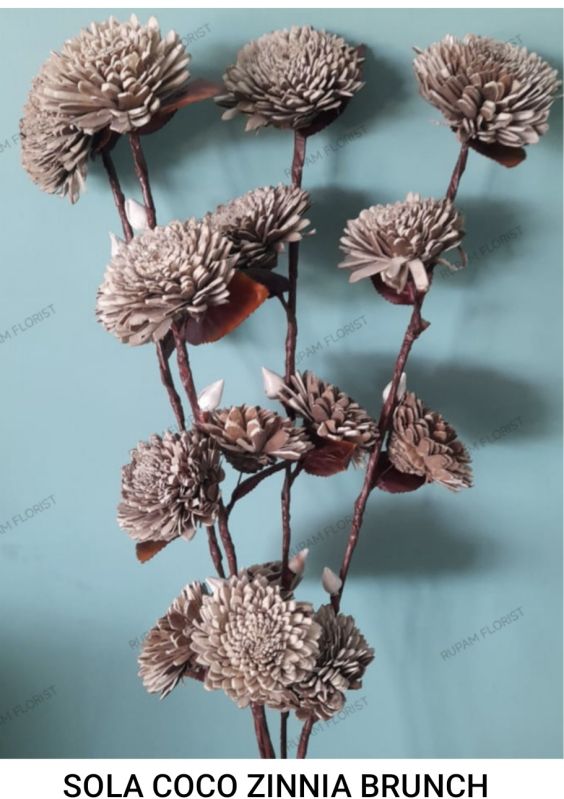 Sola Coco Zinnia Flower Branch