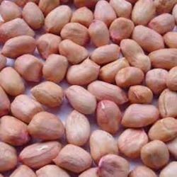 Groundnut Seeds, Color : Brown, Packaging Type : Plastic Bags