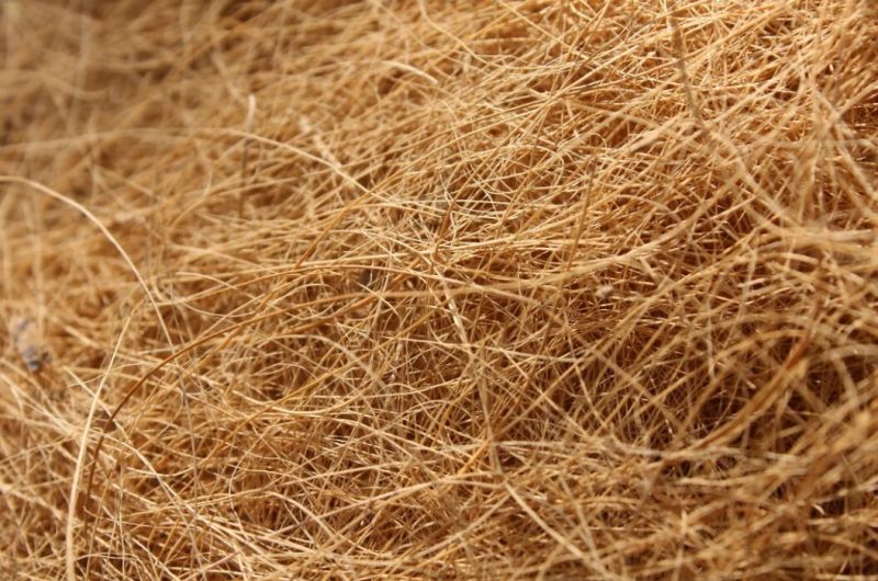 coconut fiber