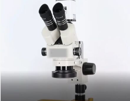 Trinocular Stereo Microscope