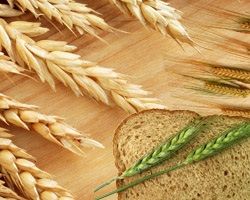 Wheat, Packaging Type : Jute Bag