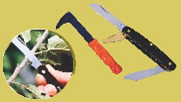 Budding Knife BK001