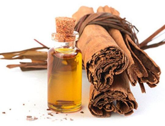 Cinnamon Bark Oil