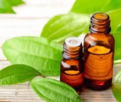 Cinnamon Leaf Oils