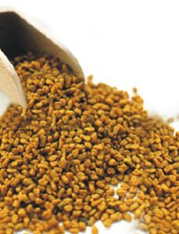 Fenugreek Seed