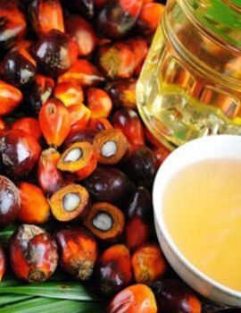 Refined Palm Oil
