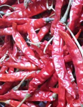 Teja Chilli, Color : Red, Packaging Type : Packet