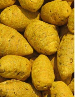 Turmeric Bulb