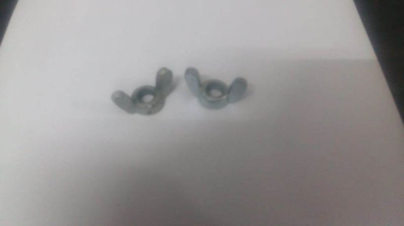 Iron Silver Nuts For Proctor Mould