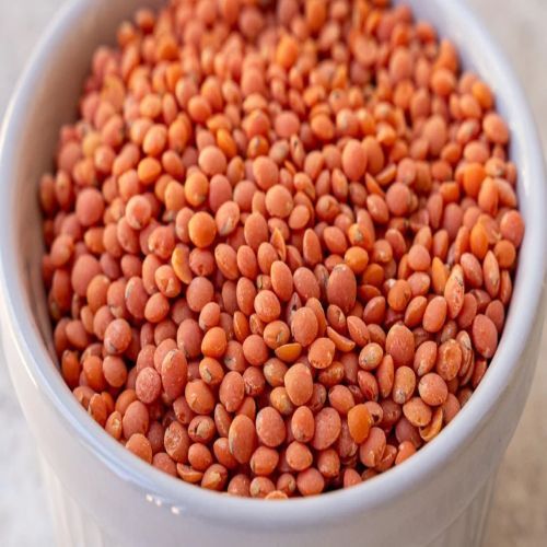 Red Lentil