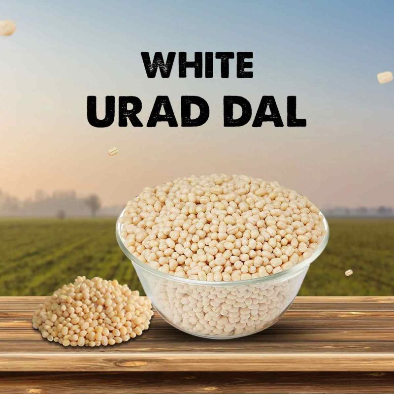White Urad Dal