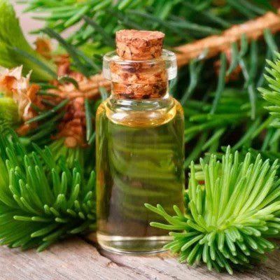 Abies Alba Fir Needle Essential Oil