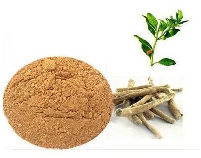 Brown Natural Thalictrum Foliolosum Extract