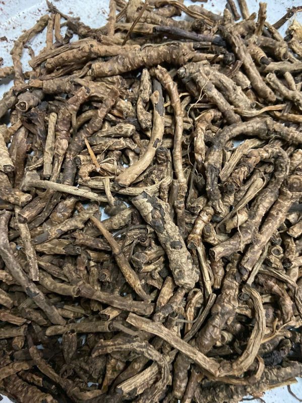 Picrorhiza Kurroa Root