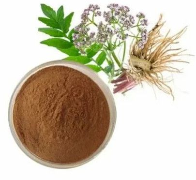 Valeriana Wallichi Extract
