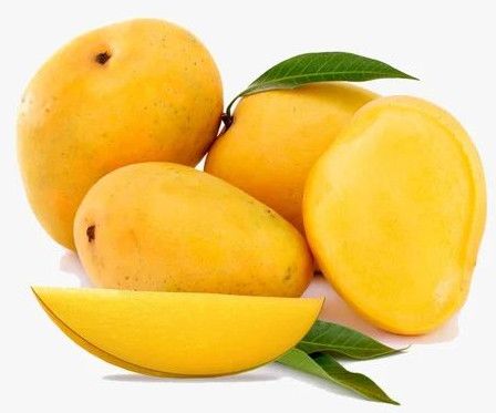 A Grade Fresh Alphonso Mango