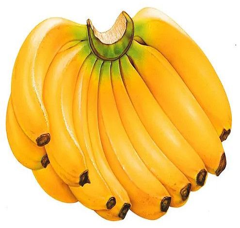 Fresh Yellow Banana
